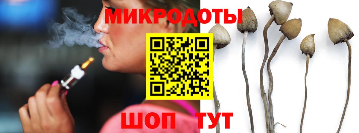 Псилоцибиновые грибы прущие грибы  Вход с VPN  Истра  Псилоцибиновые грибы Psilocybe 